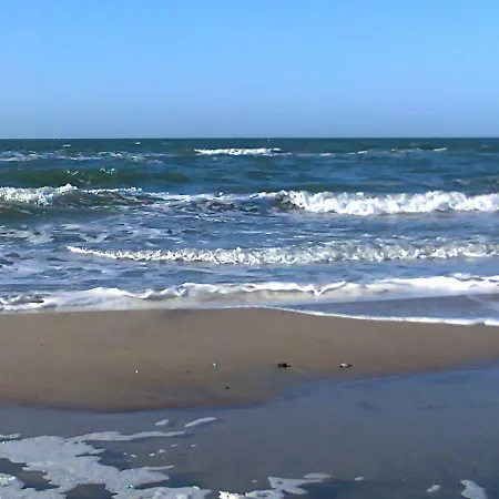 In Nahe Ostseestrand *