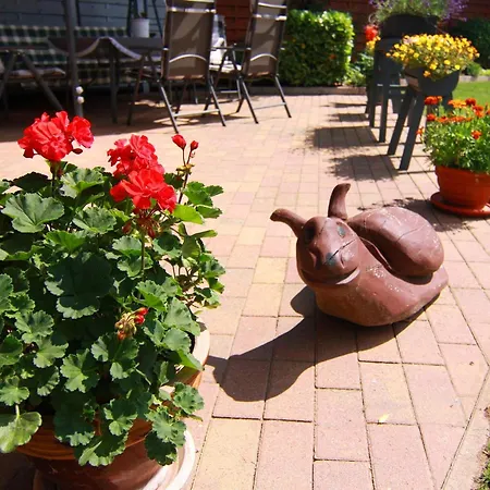 公寓 In Nahe Ostseestrand