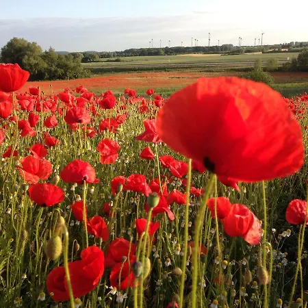 In Nahe Ostseestrand Neubukow