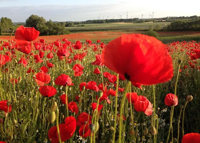 In Nahe Ostseestrand Neubukow